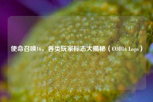 使命召唤16,各类玩家标志大揭秘(COD16 Logo)