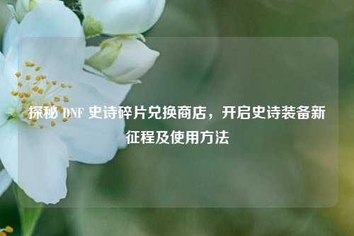 探秘 DNF 史诗碎片兑换商店,开启史诗装备新征程及使用方法