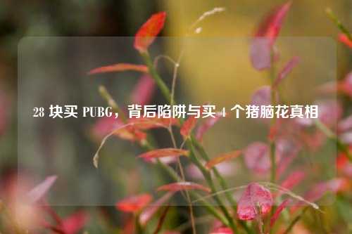28 块买 PUBG,背后陷阱与买 4 个猪脑花真相