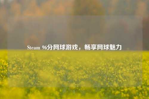 Steam 96分网球游戏,畅享网球魅力