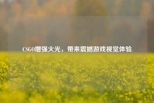 CSGO增强火光,带来震撼游戏视觉体验