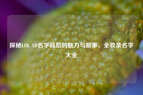 探秘LOL AD名字背后的魅力与故事,全收录名字大全