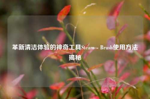 革新清洁体验的神奇工具Steam - Brush使用方法揭秘
