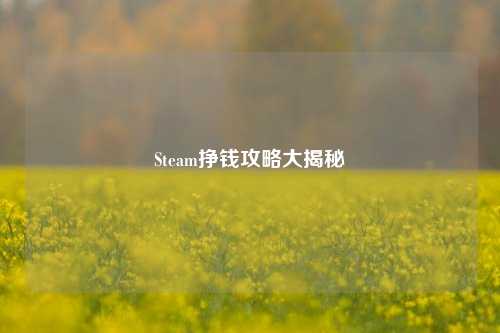 Steam挣钱攻略大揭秘