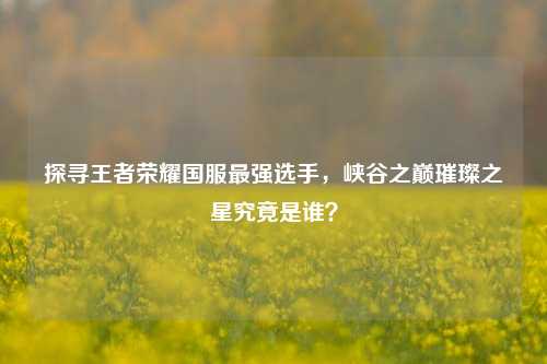 探寻王者荣耀国服最强选手,峡谷之巅璀璨之星究竟是谁?