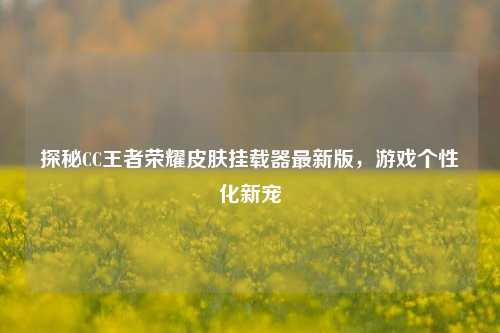 探秘CC王者荣耀皮肤挂载器最新版,游戏个性化新宠