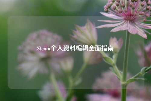 Steam个人资料编辑全面指南