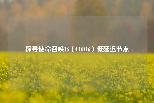 探寻使命召唤16（COD16）低延迟节点