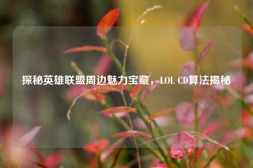 探秘英雄联盟周边魅力宝藏,LOL CD算法揭秘