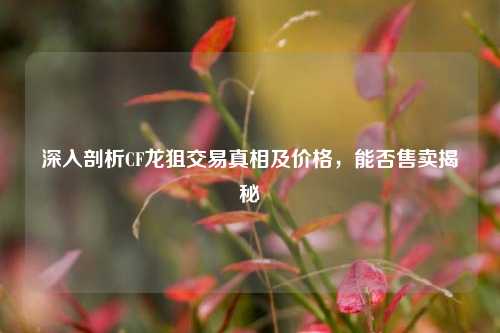 深入剖析CF龙狙交易真相及价格,能否售卖揭秘