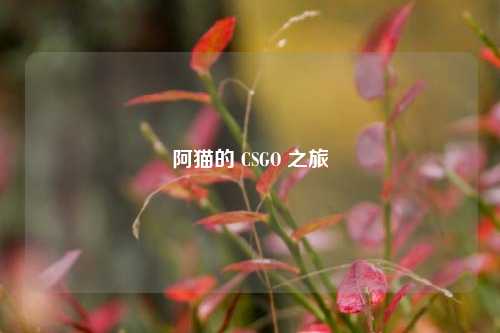 阿猫的 CSGO 之旅