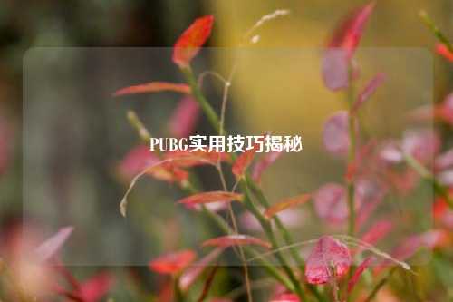 PUBG实用技巧揭秘