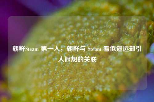 朝鲜Steam 第一人，朝鲜与 Steam 看似遥远却引人遐想的关联