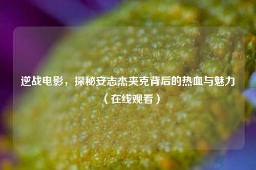 逆战电影,探秘安志杰夹克背后的热血与魅力(在线观看)
