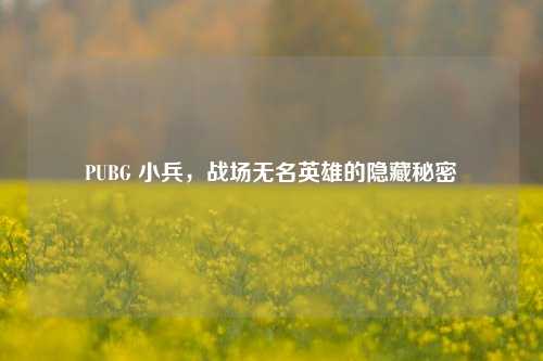 PUBG 小兵,战场无名英雄的隐藏秘密