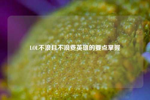 LOL不浪且不浪费英雄的要点掌握