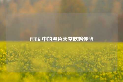 PUBG 中的黑色天空吃鸡体验