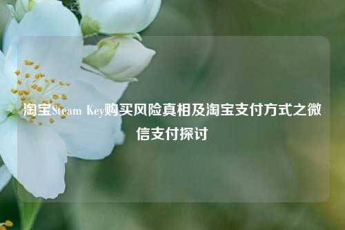 淘宝Steam Key购买风险真相及淘宝支付方式之微信支付探讨