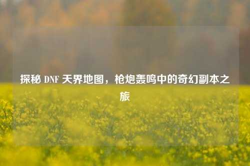 探秘 DNF 天界地图,枪炮轰鸣中的奇幻副本之旅