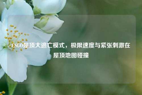 CSGO屋顶大逃亡模式,极限速度与紧张刺激在屋顶地图碰撞