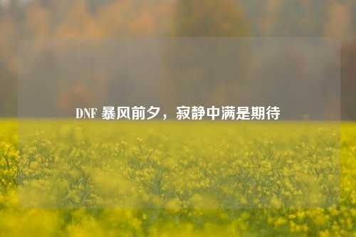 DNF 暴风前夕,寂静中满是期待