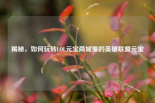 揭秘,如何玩转LOL元宝商城里的英雄联盟元宝