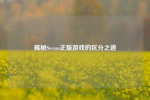 揭秘Steam正版游戏的区分之道