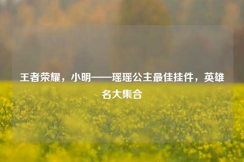 王者荣耀，小明——瑶瑶公主最佳挂件，英雄名大集合