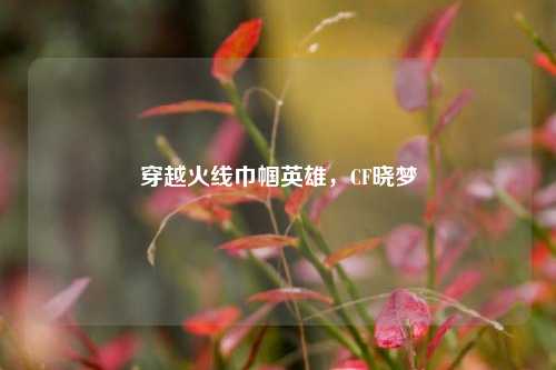 穿越火线巾帼英雄，CF晓梦