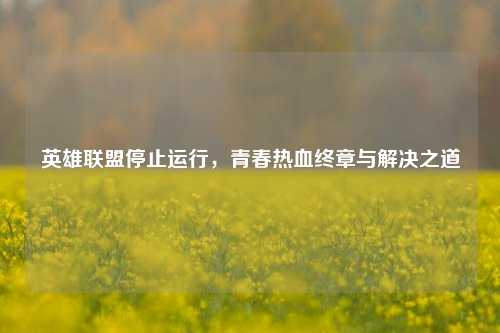 英雄联盟停止运行,青春热血终章与解决之道