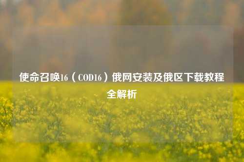使命召唤16(COD16)俄网安装及俄区下载教程全解析