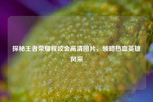 探秘王者荣耀程咬金高清图片，领略热血英雄风采