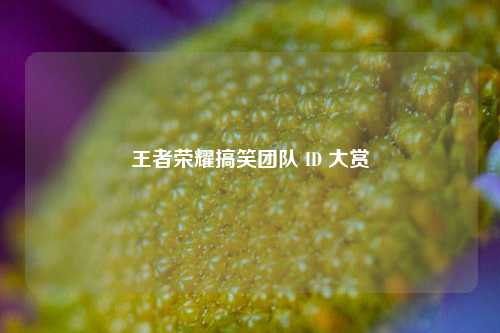 王者荣耀搞笑团队 ID 大赏