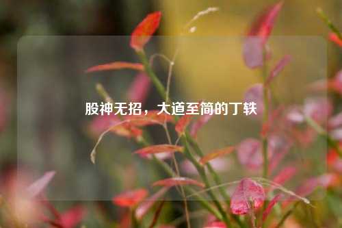 股神无招,大道至简的丁轶