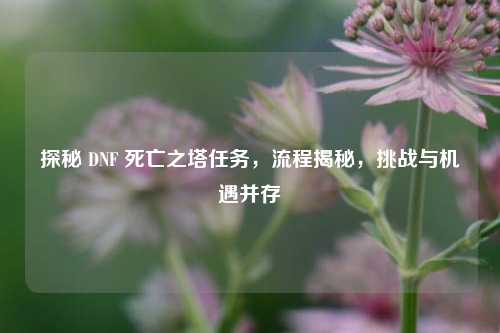 探秘 DNF 死亡之塔任务，流程揭秘，挑战与机遇并存