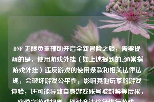 DNF 无限负重辅助开启全新冒险之旅，需要提醒的是，使用游戏外挂（如上述提到的g通常指游戏外挂）违反游戏的使用条款和相关法律法规，会破坏游戏公平性，影响其他玩家的游戏体验，还可能导致自身游戏账号被封禁等后果，应遵守游戏规则，通过合法途径进行游戏。