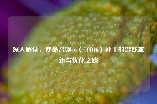 深入解读,使命召唤16(COD16)补丁的游戏革新与优化之路