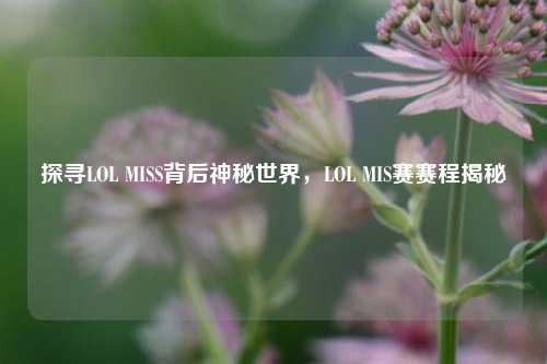 探寻LOL MISS背后神秘世界，LOL MIS赛赛程揭秘