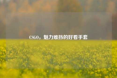 CSGO,魅力难挡的好看手套