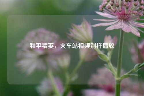 和平精英，火车站视频别样播放