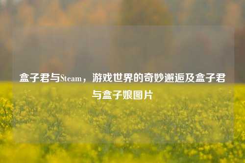 盒子君与Steam，游戏世界的奇妙邂逅及盒子君与盒子娘图片