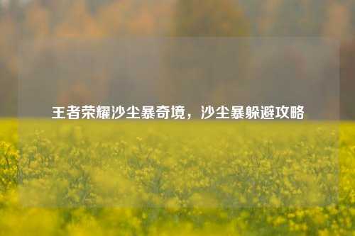 王者荣耀沙尘暴奇境，沙尘暴躲避攻略