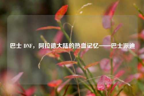 巴士 DNF，阿拉德大陆的热血记忆——巴士派迪