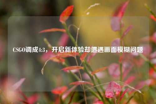 CSGO调成4:3，开启新体验却遭遇画面模糊问题