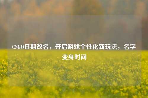 CSGO日期改名,开启游戏个性化新玩法,名字变身时间