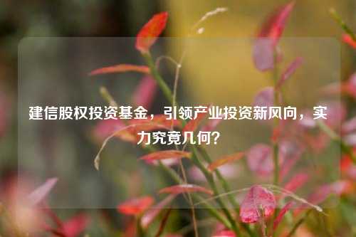 建信股权投资基金,引领产业投资新风向,实力究竟几何?