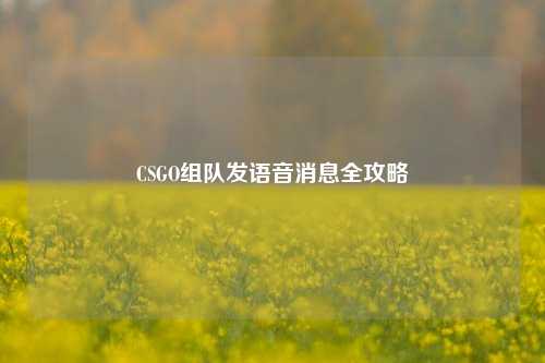 CSGO组队发语音消息全攻略