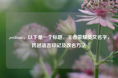 ,rections,以下是一个标题,王者荣耀英文名字,跨越语言印记及改名方法