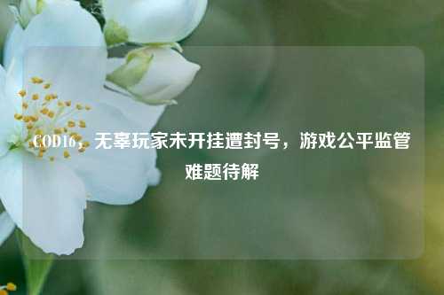 COD16,无辜玩家未开挂遭封号,游戏公平监管难题待解
