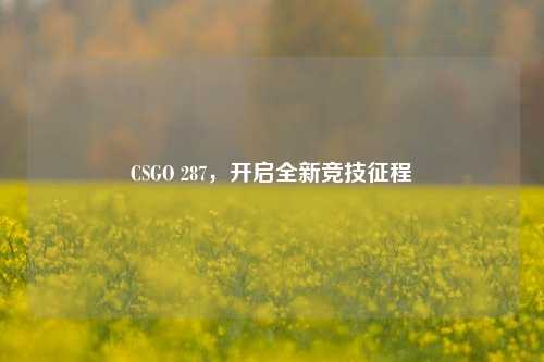 CSGO 287,开启全新竞技征程